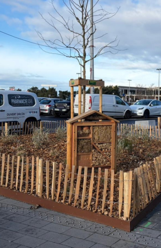 Renaturation cabane à insectes