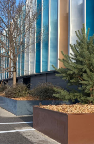 Bac avec bois et arbres renaturation